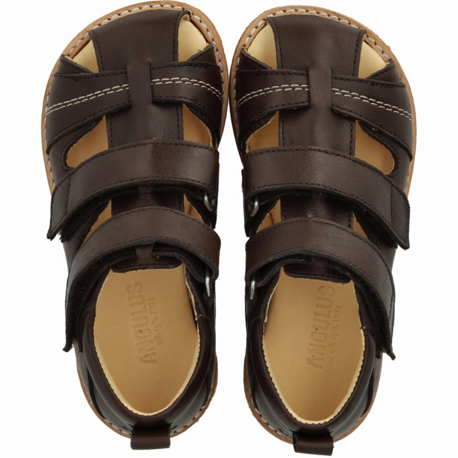 Angulus Dark Brown Beginner Sandal Med Velcro Closure Shift Gear