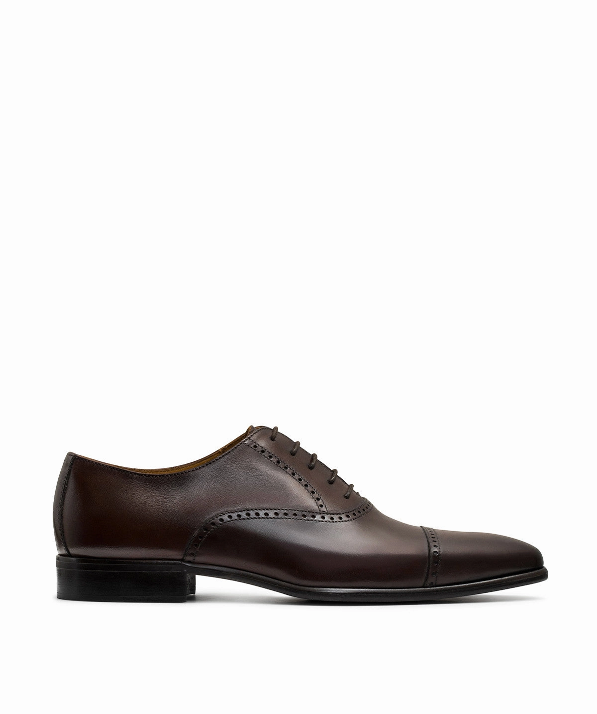 Richelieu Pharel Marron Comfort-Driven Modern Motionwear