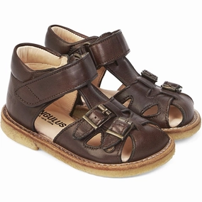 Crafted Now Angulus Starter Sandal W. Velcro And Buckles Dark Brown