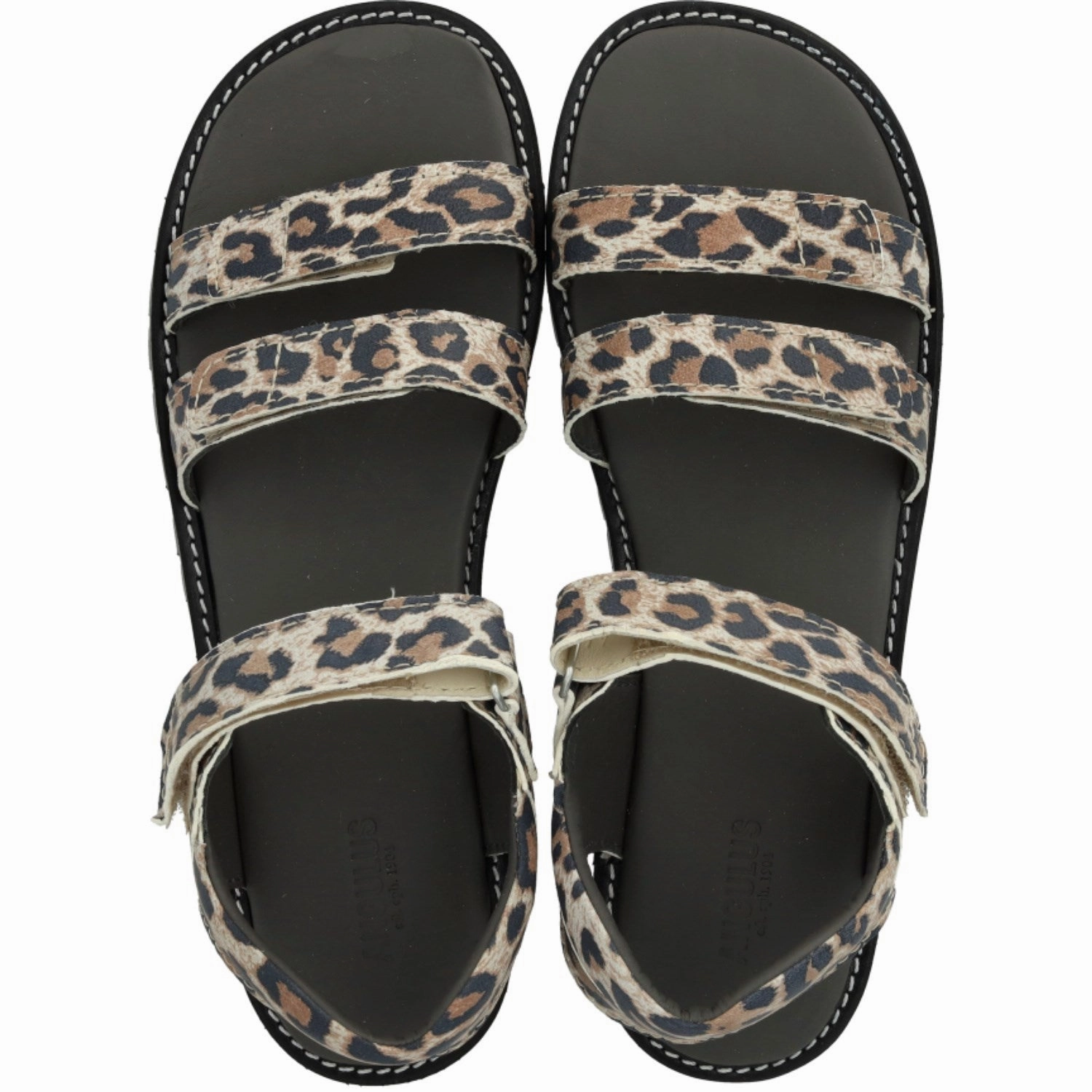 Angulus Leopard Suede Adjustable Leather Sandal With Velcro Flow-Forward Gear