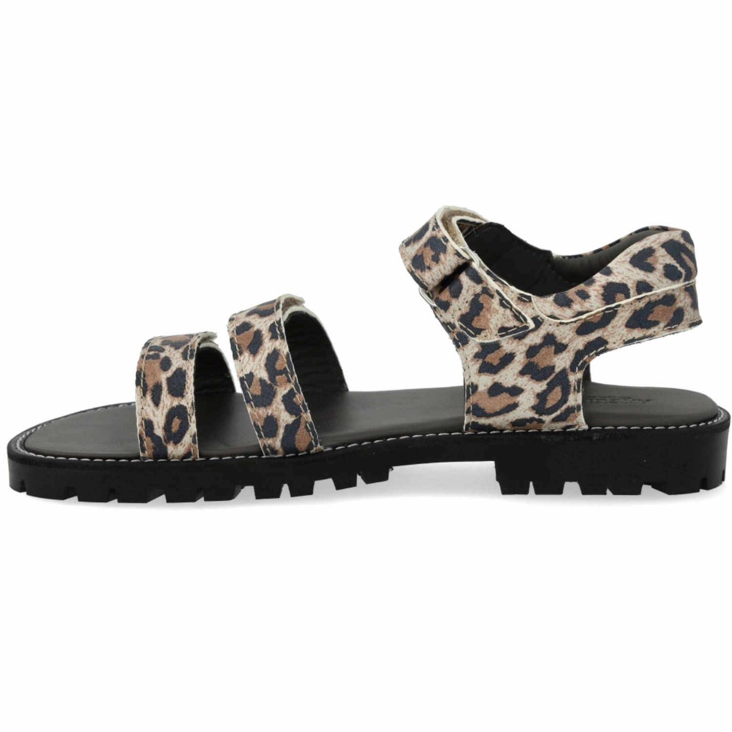 Instant Outfit Angulus Leopard Suede Adjustable Leather Sandal With Velcro