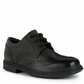 Simple City Urban Core Geox Federico Junior School Shoes