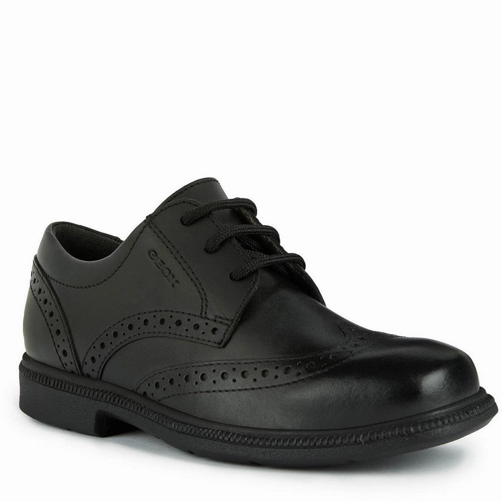 Simple City Urban Core Geox Federico Junior School Shoes