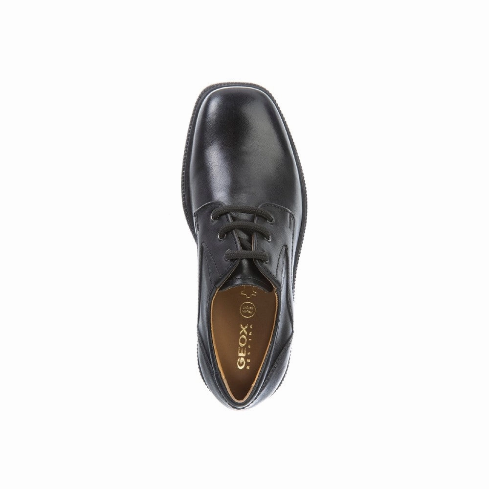 Uncomplicated Gear Geox J Federico M School Shoes Size 1 - 1.5