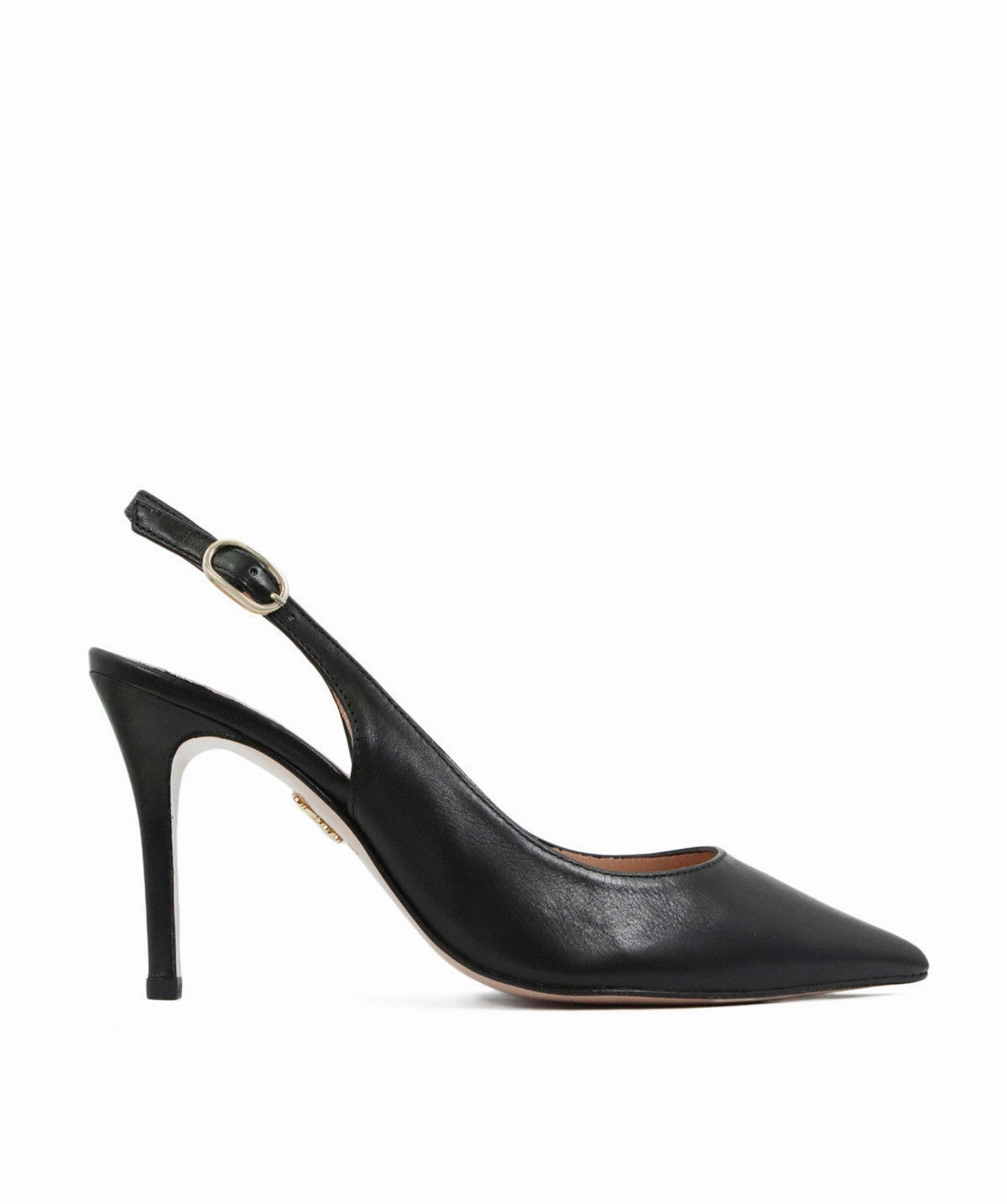 Adapt Daily Seasonal Updates Kelly Black Pumps