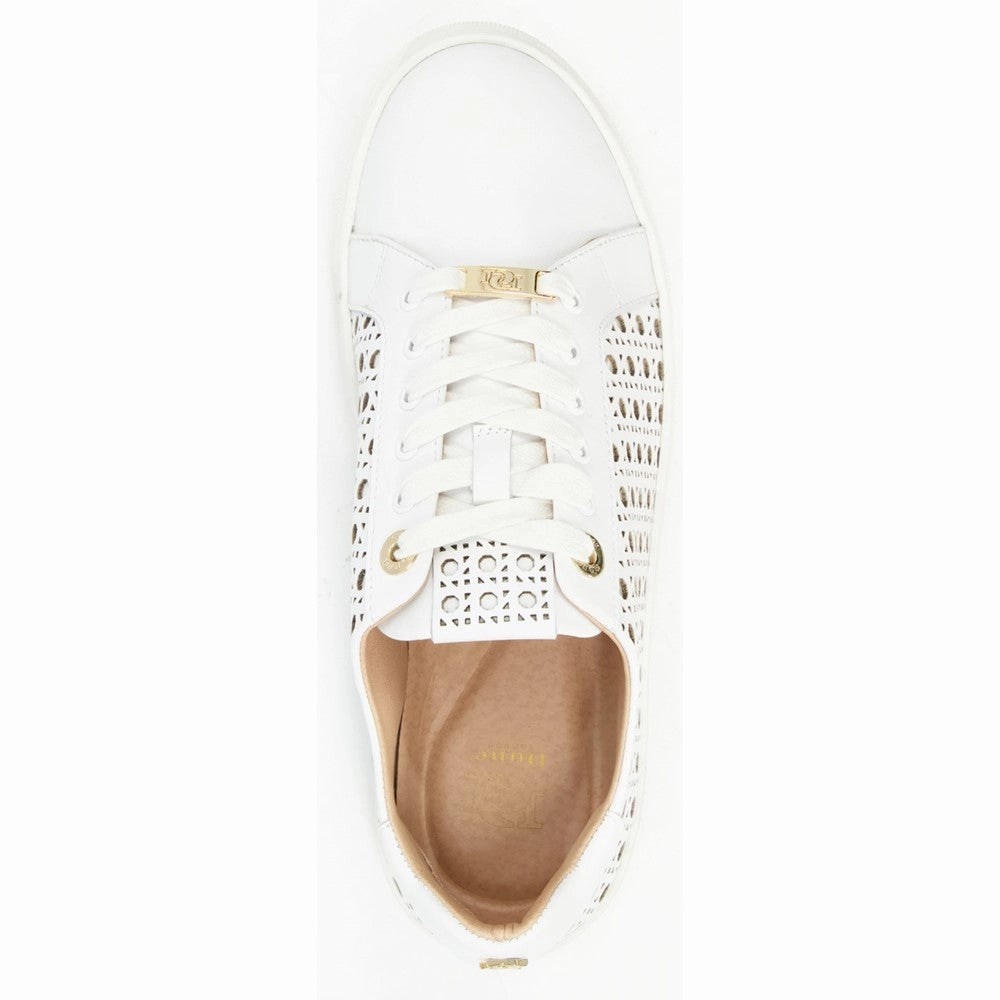 Dune Ease Trainer Adaptive Edge