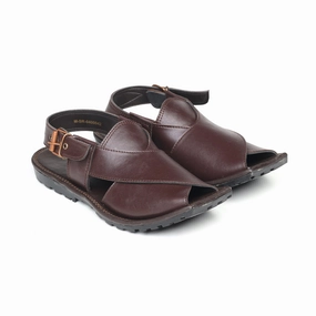 In-Motion Look Signature Look M-Sr-0400042-Peshawari Chappal