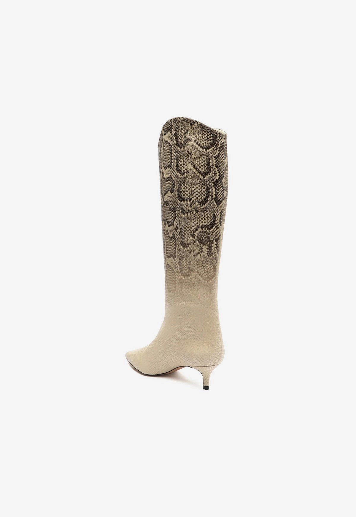 Wearable System Maryana Lo Snake Faded Boot