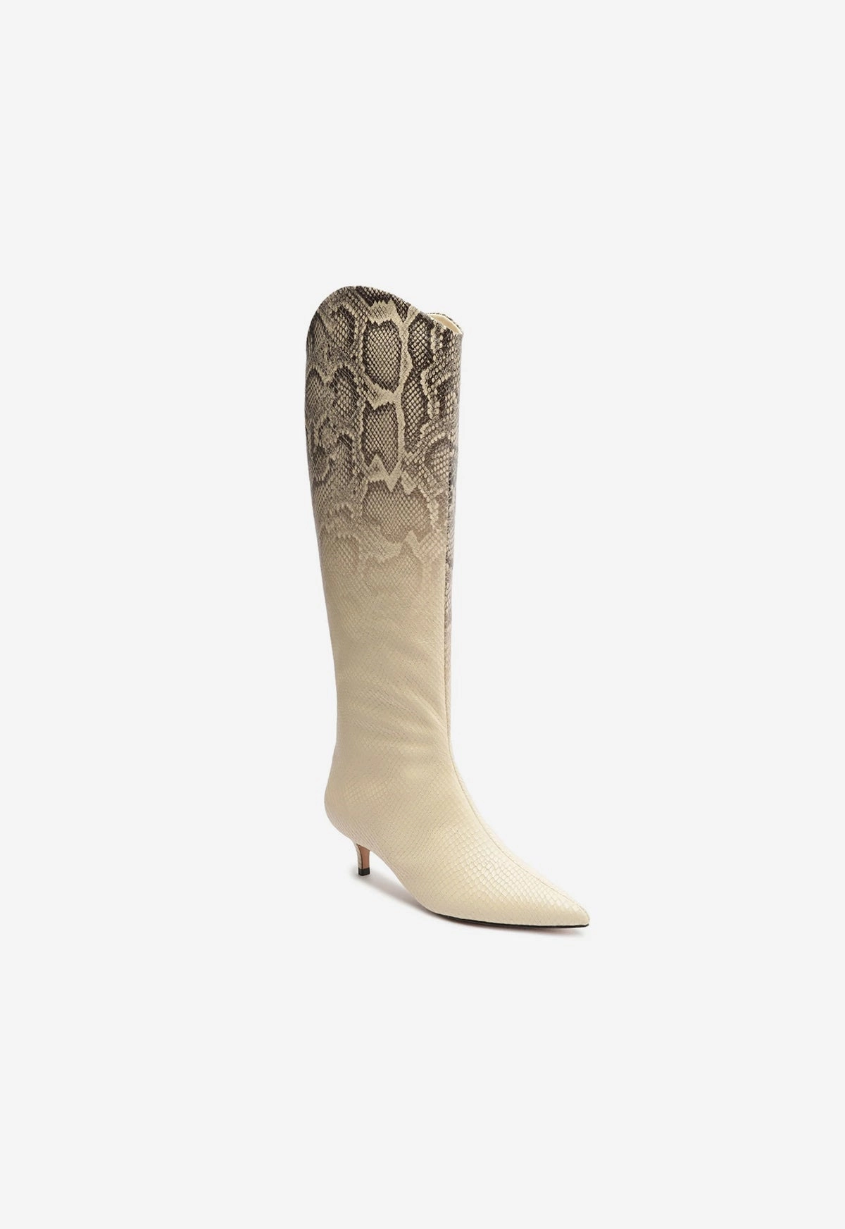 Precision In Style Essential Rhythm Maryana Lo Snake Faded Boot