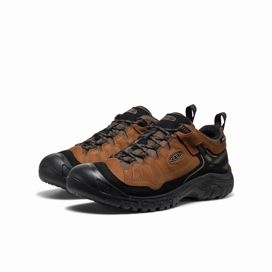 Crafted Clarity Men'S Targhee Iv Waterproof Hiking Shoe  |  Bison/Black