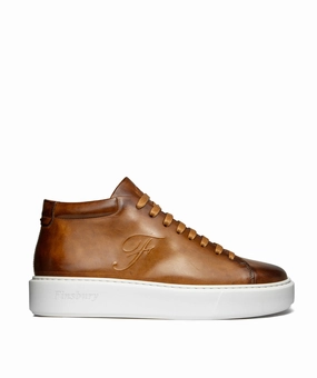 Versatile Future Soft Urban Core Modena Gold High Top Sneakers