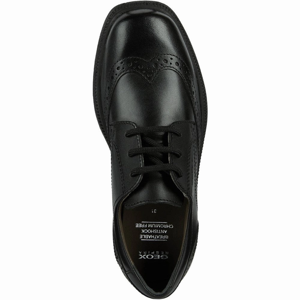 Clean Energy Geox Federico Senior School Shoes