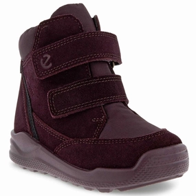 Lightweight Living Ecco Urban Mini Boots Fig