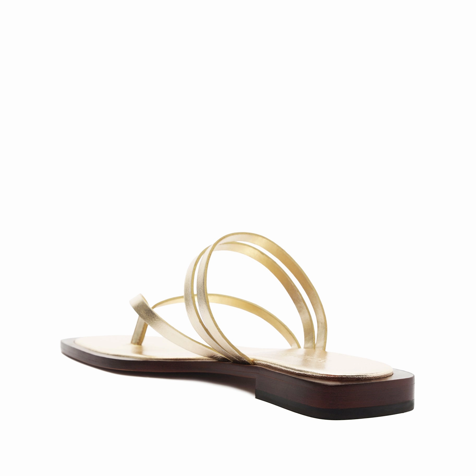 Rania Metallic Leather Flat Sandal Future-Forward Comfort Express In Ease