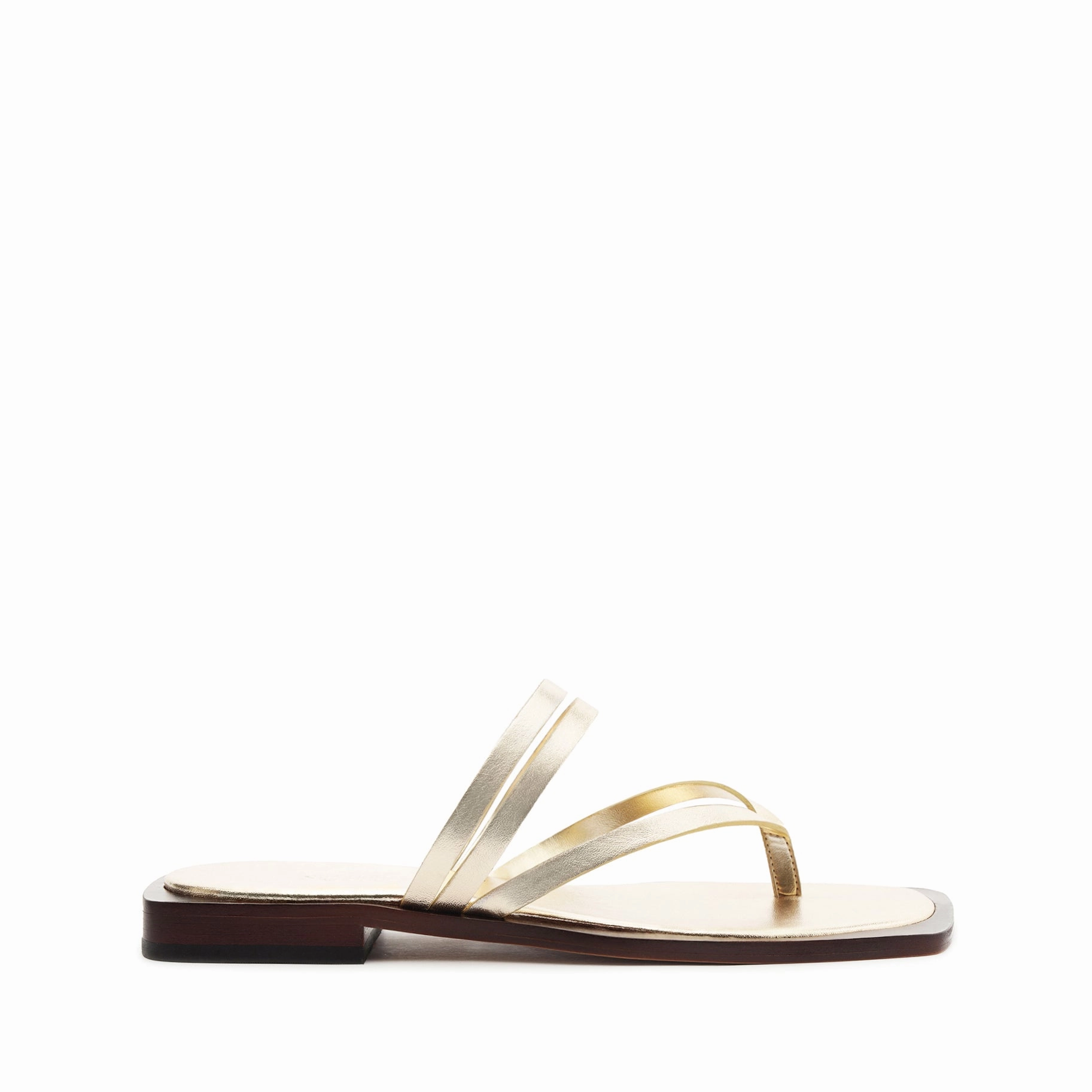 Rania Metallic Leather Flat Sandal Beyond The Basics