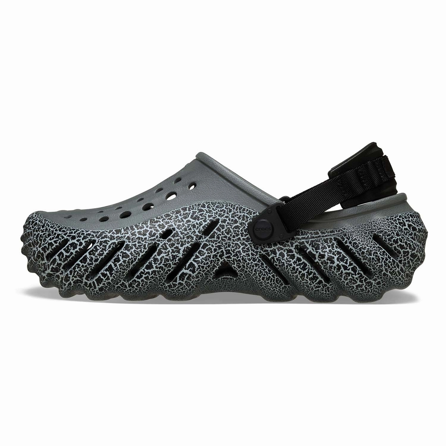 Echo Crackle Clog Move And Live