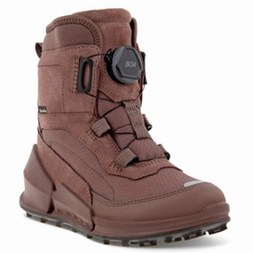 Ecco Biom K2 Mid-Cut Boot Dusty Purple/Dusty Purple/Dusty Purple Fresh Drop