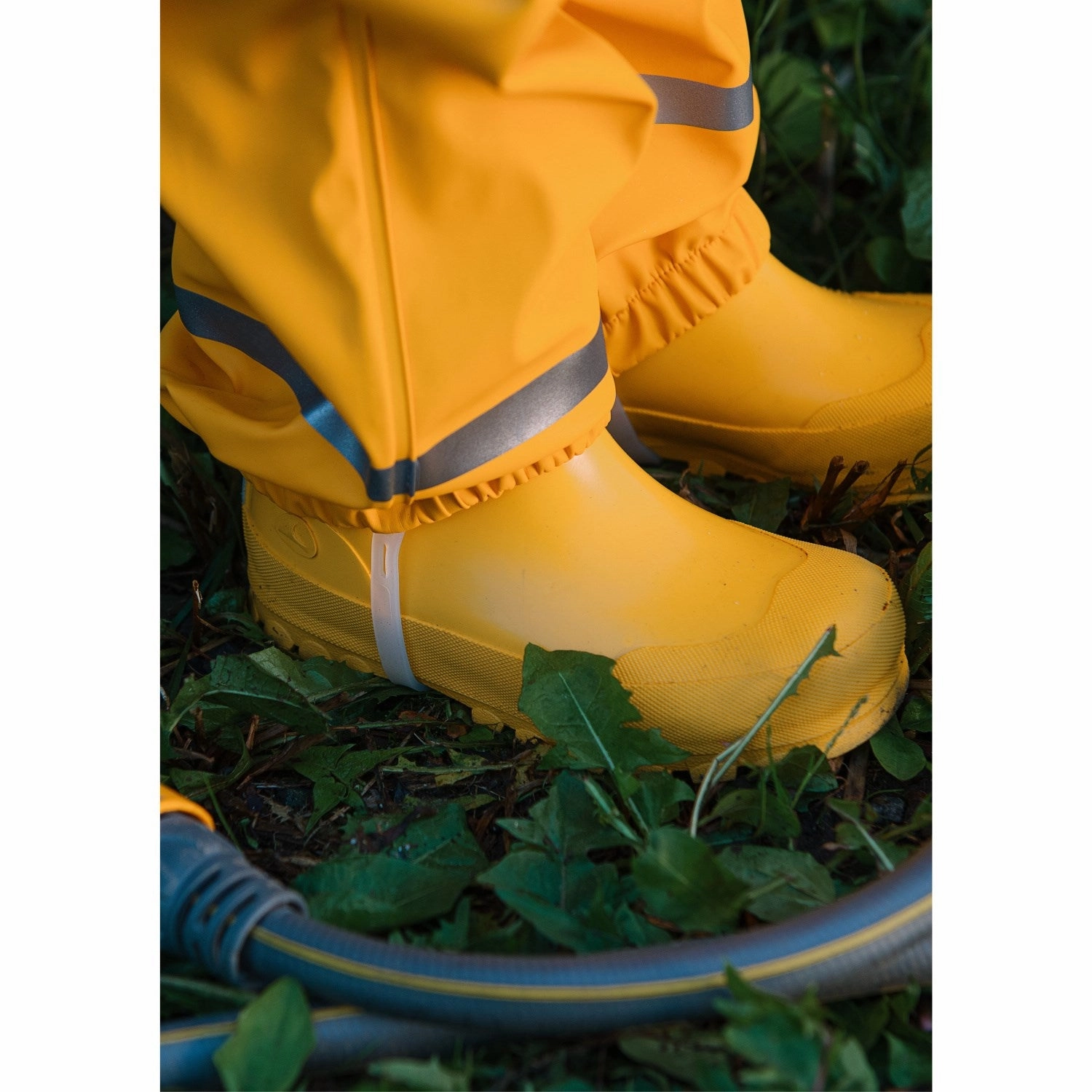 Active Lifestyle Gear Minimal Focus Viking Sun/Yellow Jolly