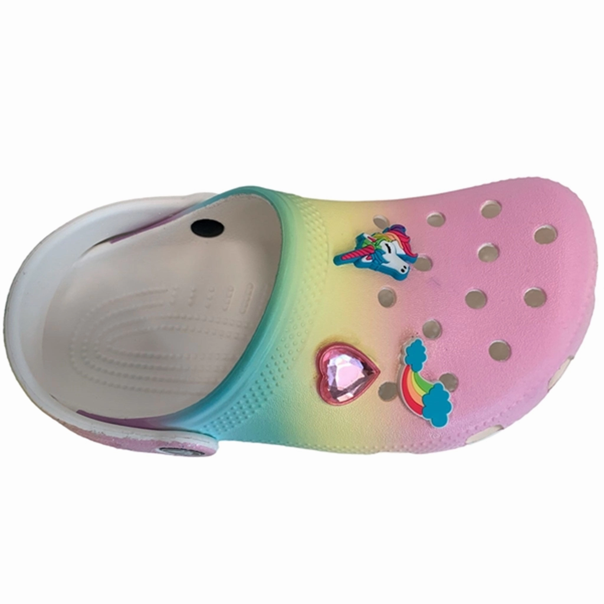 Function-Refined Crocs Classic Ombre Clog Multi