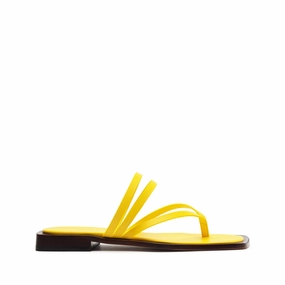 Rania Leather Flat Sandal Urban Focus
