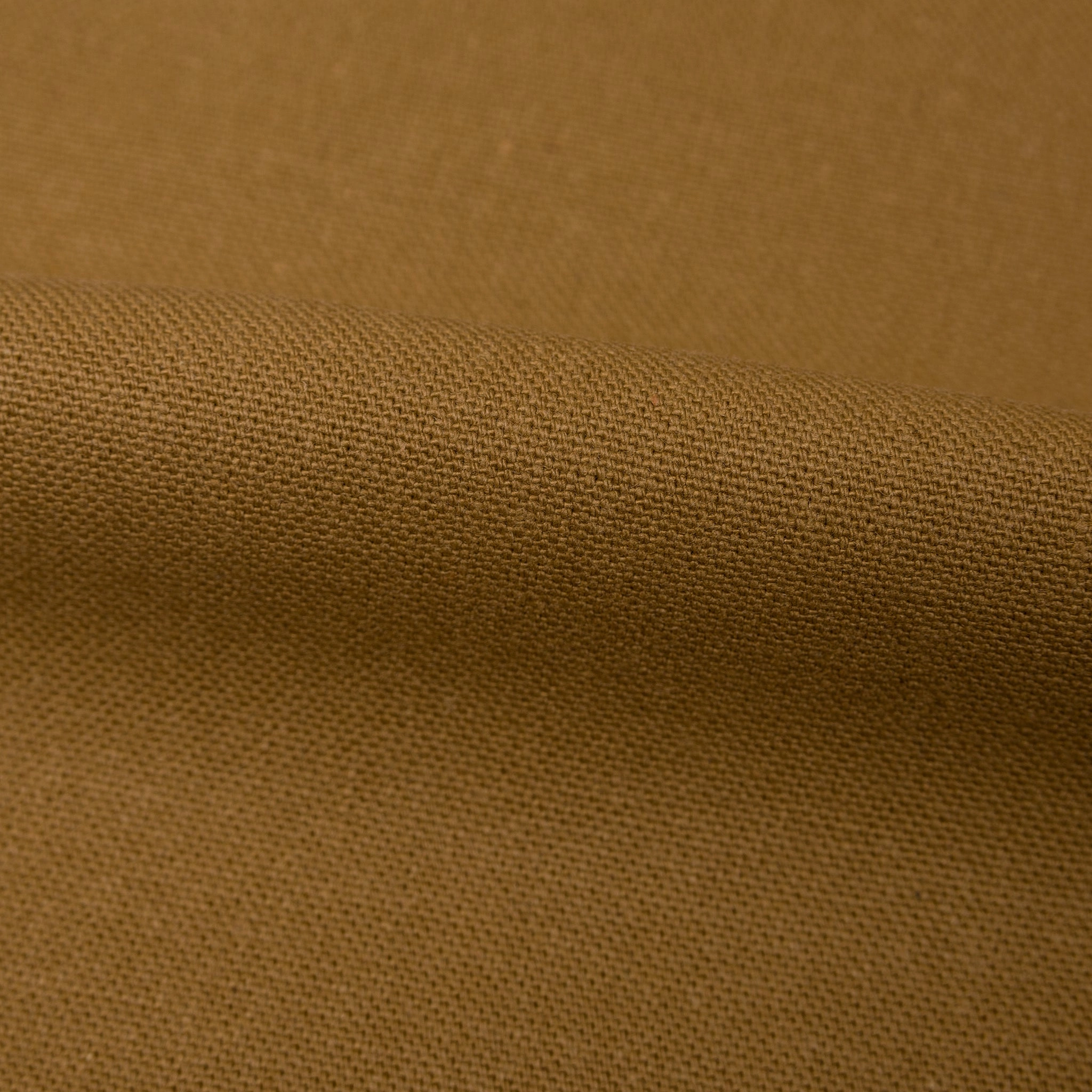 Weird Guy - Duck Canvas Selvedge