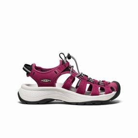 Women'S Astoria West Sandal  |  Beaujolais/Star White Modern Evolution