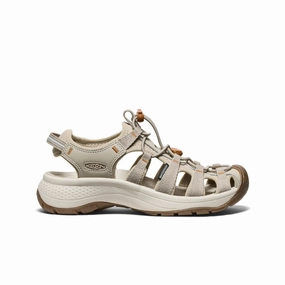 Women'S Astoria West Sandal  |  Plaza Taupe/Roasted Pecan Urban Flowwear Clean-Motion System